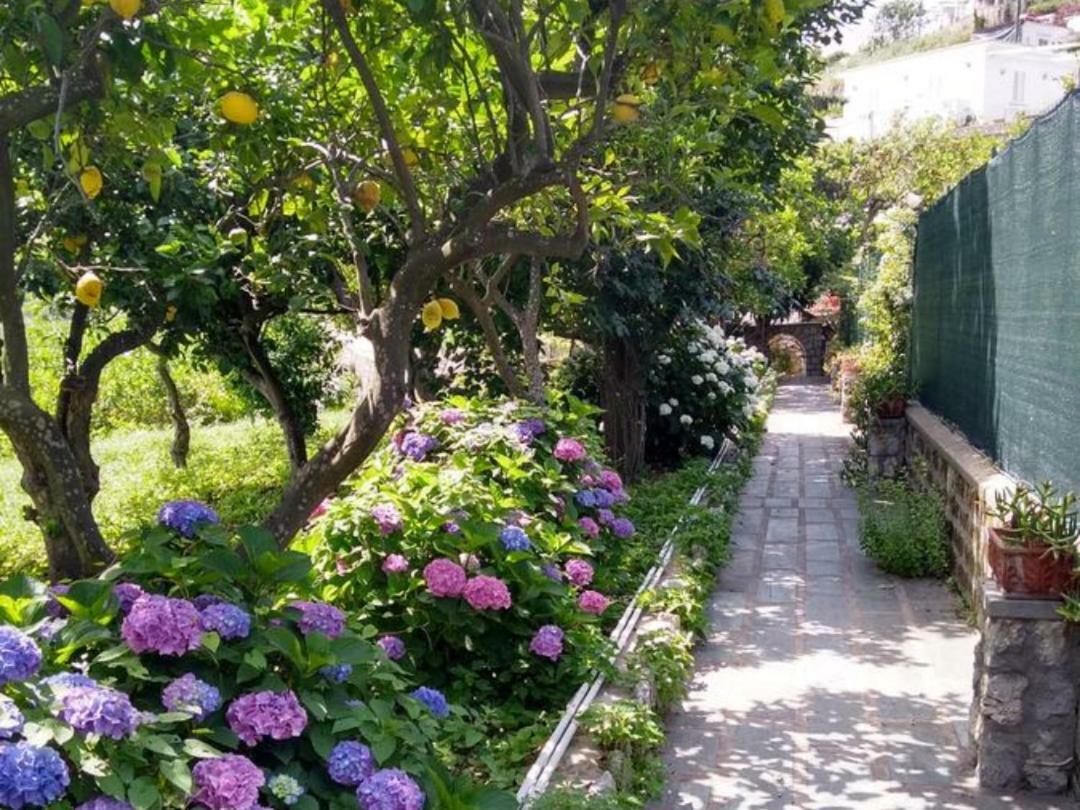 Casa Paolina - Casa Vacanze Capri Exterior foto